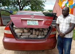 The national drug law enforcement agency (ndlea) invites suitable applicants for recruitment, nationwide. Dismissed Ndlea Official Arrested With 254kg Of Weed In Niger State