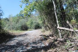 Tbd-1 Toco Hill, North Garden, VA 22959