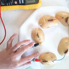 This will complete the circuit for your battery. How To Make A Potato Powered Light Science For Kids Upstart Magazine