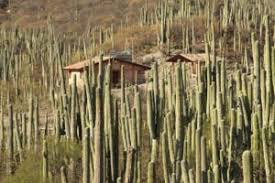 ZAPOTITLÁN SALINAS, ATRACTIVO DEL TURISMO NACIONAL » Latitud Megalópolis