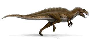 It stood 23 feet tall and weighed two tons. Acrocanthosaurus Atokensis Vs Tarbosaurus Bataar