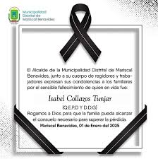 Municipalidad Distrital de Mariscal Benavides