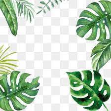 Creative Green Leaf Palm Border Design Material Png And Psd Palm Tree Photography Plant Wallpaper Graphic Design Background Templates