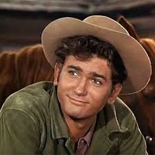 Mitch Vogel's roles in Bonanza and Little House