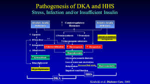 diabetic ketoacidosis and hypersmolar non ketotic coma