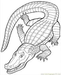 Yosemite splendor cross stitch pattern***look*** click the link to preview a sample of my patterns page by page before you decide to buy. Crocodile7 Coloring Page For Kids Free Crocodile Printable Coloring Pages Online For Kids Coloringpages101 Com Coloring Pages For Kids