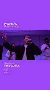 Image result for Olax pentandra