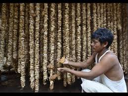 The mulberry silkworm is divided into three groups; How Assam Makes Its Muga Silk Youtube