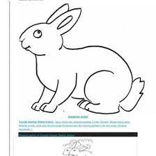 Leave a comment cancel reply. Paling Keren 22 Gambar Hewan Sketsa Gambar Yang Mereka Ciptakan Pun Ternyata Menunjukkan Seberapa Kreatif Mereka Dan Bagaima Gambar Hewan Sketsa Sketsa Hewan