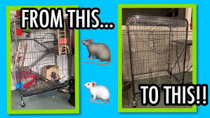 Rats are incredibly intelligent creatures that need some mental stimulation in order to be healthy and happy. How To Escape Proof A Rat Cage With Wide Bars Hardware Cloth 101 Youtube