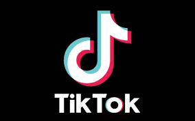 Tiktok Zoom House Party Why Are People Getting Suspicious About These Apps Slashgear