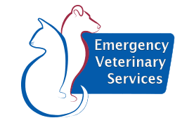You should do your research and check if there are any 24 hour vets near you and make sure that you know the fastest route to that vet. Emergency Vet In Lisle Downers Grove And Naperville Il Emergency Veterinary Services Of Lisle