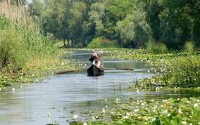 Delta dunării, cea mai sălbatică zonă umedă de pe continentul european şi unica deltă din lume declarată rezervaţie a biosferei, reprezintă un adevărat muzeu natural al biodiversităţii. Tabara In Delta Dunarii Rezervatia Biosferei