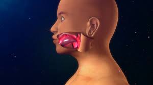 Image result for Angioedema