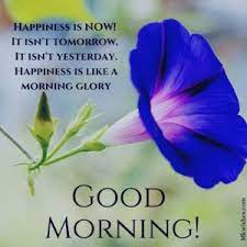 Hand picked articles for you: 100 Beautiful Good Morning Wishes With Flowers To Share Mkwishes