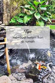 Kolam Ikan Di Rumah Baca Tips Ini Dulu Kolam Ikan Kolam Rumah