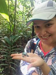 Laboratório de Anfíbios