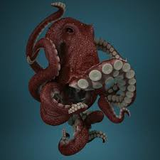 Pin By Vtg Styles On Tattos Octopus Photography Octopus Octopus Drawing