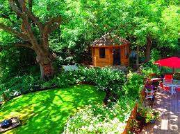 My Beautiful Backyard On A Hot Summer Day 3 Beautiful Backyards Beautiful Backyard Backyard