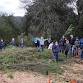 Volunteer Outdoors in Los Gatos at Bear Creek Redw... event in Los Gatos, CA