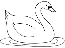 Gambar burung ini juga menjadi salah satu gambar fauna favorit pada kalangan pecinta gambar. Kumpulan Sketsa Gambar Hewan Untuk Mewarnai Anak Dizeen Sketsa Gambar Hewan Buku Mewarnai