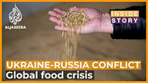 Image result for 30% of grains on earth come from Russia and Ukraine which is why this year is a food disaster for all of earth