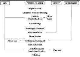 Draw A Flow Chart Showing The Process Of Formation Of Wine