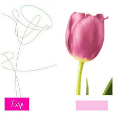 We did not find results for: The Meaning Of Flowers In Love Yourself Army S Amino