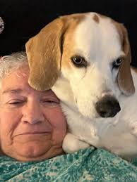 How to cope with bipolar disorder and find reliable support?