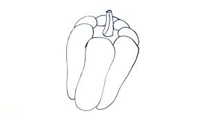 How To Draw A Pepper My How To Draw I am going to pick the play bow position. how to draw a pepper my how to draw