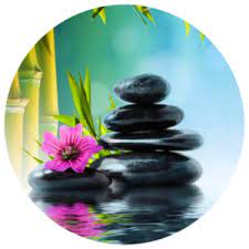 A boy and his dog 2. Best Relaxing Music Sleep Meditation Music Music2relax Com