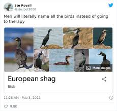 I live in paterson, new jersey, a majority minority city. 28 Bird Species With The Silliest Names Ever Bored Panda