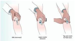 Image result for Fluid Wave Test