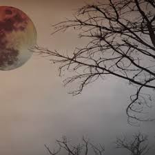 A full moon occurs when the moon appears as a complete circle in the sky. Full Moon 01 Wall Coverings Wallpapers From Instabilelab Architonic