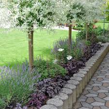 As Beet Mit Den Harlekinweiden Das Ich Voriges Jahr Im April Angelegt Hab Hat Sich Ganz Gut Entwickelt Einen Schonen Freitag Ihr Plants Jardin Sidewalk