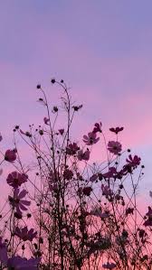 Backgrounds Purple Wallpaper Purple Wallpaper Iphone Sky Aesthetic