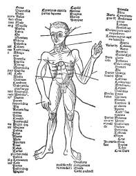 Medical Imagery Of The 15th Century The Public Domain Review Medical Illustration 15th Century Print Book