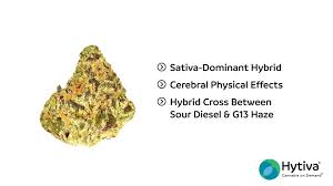Sour cream is made by adding lactic acid bacteria to fresh cream, giving it a mildly sour flavour, therefore gaining the name, sour cream therefore, unsoured sour cream is actually plain old cream without the bacterial additives. Sour Cream Strain Hybrid Cannabis Video Cbd Thc Terpenes Hytiva