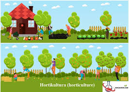 Tugas sekolah jarwo kumpulan soal dan jawaban tugas sekolah dari jenjang sd, smp, hingga sma di semua mata pelajaran 40 Contoh Soal Hortikultura Pilihan Ganda Kunci Jawaban