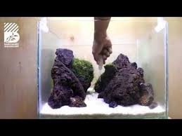 Project 05 Iwagumi Style Tank 40cm Youtube Tank Lava