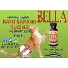 Batu seperti batu asid urik dan batu cystine boleh dipecahkan dengan menggunakan kaedah ini. Ubat Batu Karang Kucing Shopee Malaysia