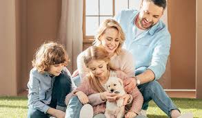 Pay your petland credit card (comenity) bill online with doxo, pay with a credit card, debit card, or direct from your bank account. Pet Loans Pet Financing At Petland Robinson Pa