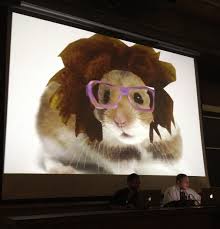 State of the Web Union: Supercuts, Lulz and Fanfic at ROFLcon III | WIRED