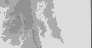 Image result for Sorghastrum fuscescens