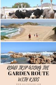 Road Trip Along The Garden Route In South Africa With Kids Go Live Young South Africa Travel Trip Africa Travel