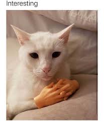 42 Random Animal Pictures That Are Way Funnier Than You Can Imagine Viralapk Com Funny Animals Funny Animal Memes Cute Funny Animals