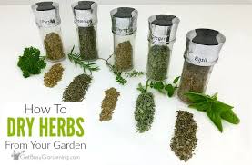 This is still a useful practice today and requires no special equipment. How To Dry Herbs The Right Way 6 Different Methods