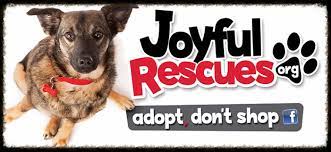 The businesses listed also serve surrounding cities and neighborhoods including rochester ny, canandaigua ny, and honeoye falls ny. Joyful Rescues Non Profit Animal Rescue Group