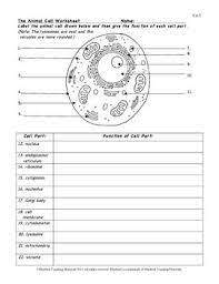 Maybe you would like to learn more about one of these? Animal Cell Color Page Worksheet And Quiz Ce 3 By Bluebird Teaching Materials Cells Worksheet Animal Cell Plant Cells Worksheet