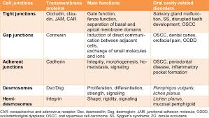 We did not find results for: Cell Junctions And Oral Health Abstract Europe Pmc
